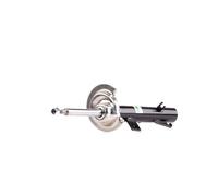 BILSTEIN 22-119186 Shock absorber