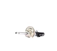 BILSTEIN 22-119193 Shock absorber