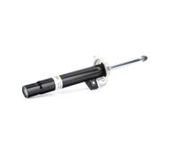 BILSTEIN 22-139948 Shock absorber