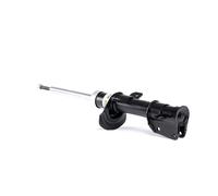 BILSTEIN 22-226556 Shock absorber