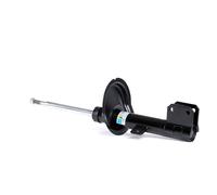 BILSTEIN 22-229670 Shock absorber