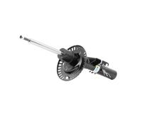 BILSTEIN 22-277053 Shock absorber