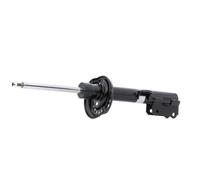 BILSTEIN 22-283788 Shock absorber