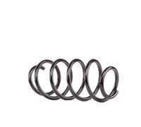 BILSTEIN 36-199556 Coil spring