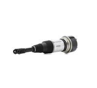 BILSTEIN 44-069483 Air suspension strut