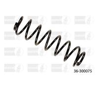 Bilstein B3 Rear Coil Spring for Skoda Fabia Mk2 1.2 TSI (77 kW) (03/10 > 12/14)