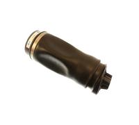 Bilstein BSN-40-148359 B3 OE Replacement (Air) - Air Suspension Spring