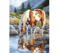 Bimkole 5D Diamond Arts Painting Kits Riverside Horse, Full Drill DIY Rhinestone Embroidery Set Paint with Diamonds Art Animal by Number Kits Cross Stitch Home Wall Craft Decor 12x16 Inch