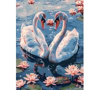 Bimkole 5D Diamond Arts Painting Kits Swan, Full Drill DIY Rhinestone Embroidery Set Paint with Diamonds Art Animal by Number Kits Cross Stitch Home Wall Craft Decoration (12x16Inch)