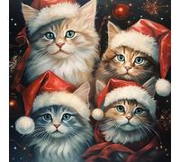 Bimkole 5D Diamond Painting Kits for Adults Cat Christmas Hat, Full Drill Animal DIY Rhinestone Embroidery Set Paint with Diamonds Art by Number Kits Cross Stitch Home Wall Craft Decoration 12X12 inch