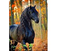 Bimkole Diamond Painting Kit, 5D DIY Animal Art Craft Kit, Horse Full Round Drill Painting by Numbers, 30 x 40 cm