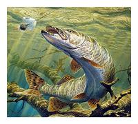 Bimkole DIY 5D Diamond Painting Kits for Adults Kit Fish Sea by Number Kits Paint with Diamonds Arts DIY for Home Decor, 12X16 inch(m3-339)