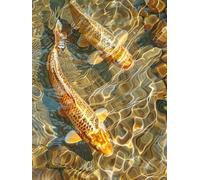 Bimkole Fish Paint by Number for Adults, DIY Oil Painting Kit on Canvas with Paintbrushes and Acrylic Pigment, for Paint by Numbers for Beginner, for Home Wall Decor (16x20Inch) QG3551