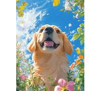 Bimkole Flower Paint by Number for Adults, DIY Oil Painting Kit on Canvas with Paintbrushes and Acrylic Pigment, for Paint by Numbers for Beginner, for Home Wall Decor (16x20Inch) Qm2178