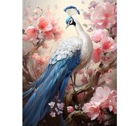 Bimkole Peacock Paint by Number for Adults, DIY Oil Painting Kit on Canvas with Paintbrushes and Acrylic Pigment, Perfect for Paint by Numbers for Beginner, for Home Wall Decor (16x20Inch) aX1073