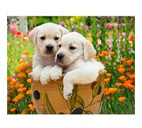 Bimkole Unknown Random 5D DIY Diamond Painting Kits, Mystery Diamond Art Picture Full Drill Crystal Rhinestone Diamonds Embroidery Paintings Cross Stitch Mosaic Art for Home Wall Decoration（ab9）