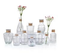 BIMUYI Small Embossed Flowers Vases, Bud Decorative Clear Vases with Rope, Mini Glass Diffuser Bottles, Set of 10