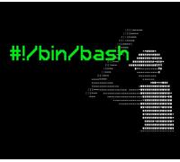 #!/bin/bash PC Steam CD Key