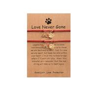 Binami 2pcs Cat Dog Memory Bracelets for Pet Loss, Paw Print Rainbow Charm Friendship Bracelet, Red String Bracelet Gifts for Cat Dog Lovers