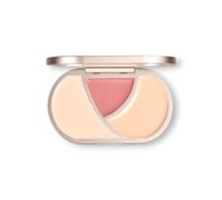 BINCAVIDOU - 3-Color Hydrating Multi-Purpose Concealer Palette - 2 Types RE02# Grey Rose - 12g