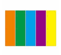 Binder Dividers 5Pcs Mini Notebook Index Tab 3 Hole Subject Divider for Ring Binder Page Scrapbook (5 Colors)