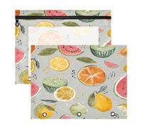 Binder Pouches Portable 3 Hole Pocket for A4 Paper Letter 2 Pack Teacher Art Supplies Storage Watercolor Fruit Gray