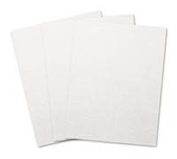Binditek 100 Pack Grain Texture Paper Binding Presentation Covers, 13Mil, 90lb, Un-Punched, 8-1/2 x 11 Inches, Square Corners, White, Office Supplies
