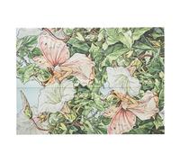 Bindweed Fairy (Flower Fairies) Document Folder (Wrap Closure)