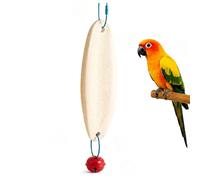 BingegePet 8.66 Inch Cuttlebone for Birds with Hanging Rope & Bell, Natural Bird Chew Stone Beak Trimmer, Parakeet Toys for Cage, Cuddle Bones for Budgie, Cockatiel, Conure, Cage Accessories