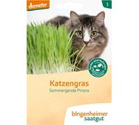 Bingenheimer Saatgut Cat Grass - 60 grams