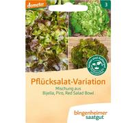 Bingenheimer Saatgut Green Salad Mix - 1 Pkg