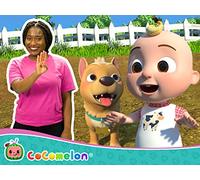 Bingo V2 (Farm Version)