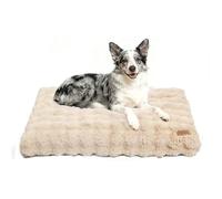 BingoPaw XL Large Dog Bed Washable with Removable Cover Beige 105x70x12cm