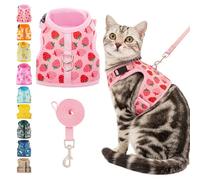 BINGPET Cat Harness with Lead Set, Escape Proof Kitten Harness with Leash, Cute Lightweight Mesh Cat Dog Walking Harness Leads, Adjustable Vest for Kitties Puppies Small Animals