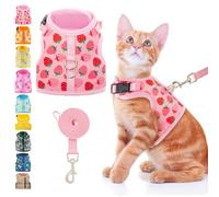 BINGPET Cat Harness with Lead Set, Escape Proof Kitten Harness with Leash, Cute Lightweight Mesh Cat Dog Walking Harness Leads, Adjustable Vest for Kitties Puppies Small Animals