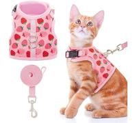 BINGPET Cat Harness with Lead Set, Escape Proof Kitten Harness with Leash, Cute Lightweight Mesh Cat Dog Walking Harness Leads, Adjustable Vest for Kitties Puppies Small Animals