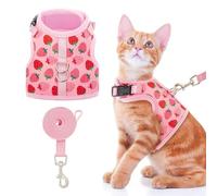 BINGPET Cat Harness with Lead Set, Escape Proof Kitten Harness with Leash, Cute Lightweight Mesh Cat Dog Walking Harness Leads, Adjustable Vest for Kitties Puppies Small Animals