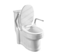 biniliubi Toilet Handrail Rack Handicap Grab Bars for Bathroom Foldable Toilet Bar Grip Medical Flip Up Safety Rails Leg Elderly Pregnant Women Disabled Hand Rail Drop Down Seat Effortless Cleaning