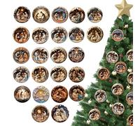 Biniveil Christmas Nativity Advent | 24 Days Holy Family Jesus Born Ornaments Countdown Calendar - 2D Acrylic Nativity Scene Pendant for Religious Believers Christmas Tree Christian Home Church Party