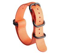 BINLUN Watch Strap Thick G10 Premium Ballistic Nylon Replacement Multicolor Bands for Men Women 18mm 19mm 20mm 21mm 22mm 23mm 24mm with Military Heavy Duty 5 Rings Silver/Black Stainless Steel Buckle