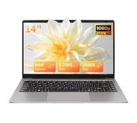 BINTEC 14 Inch Thin and Light Ultrabook Laptop(Only 1.25kg), Celeron N4100 DDR4,1920 x 1080 IPS, Win 11 Pro/Office 2019 High Performance Beginners Notebook PC,2×USB 3.0,Mini HDMI (Gray, 8G+256G)