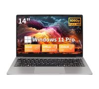BINTEC 14 Inch Thin and Light Ultrabook Laptop(Only 1.25kg), Celeron N4100 DDR4,1920 x 1080 IPS, Win 11 Pro/Office 2019 High Performance Beginners Notebook PC,2×USB 3.0,Mini HDMI (Gray, 8G+256G)