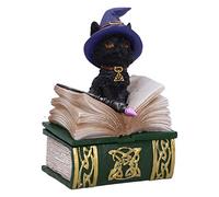 Nemesis Now Binx Small Witches Familiar Black Cat and Spellbook Figurine Box, Green, 11cm
