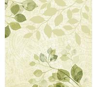 Bio Dunisoft Napkins Paisley Leaves 40X40Cm