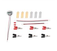 Bio Energy Science Kit for Kids, Potato Electricity Experiments Kit, Digital Clock, Light Bulb, Zinc Copper Plates, for Learning