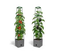 Bio Green Maxitom Plant Tower. anthracite, Polypropylene