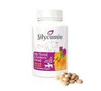 Bio PetActive Liver and Kidney Health Milk Thistle Supplement for Cats & Dogs | Removes Toxins - Support Liver Regeneration and Boost Immune System with Silycumin & Turmeric, 100 Tabs (Small Breeds)