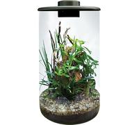 BioArt 285 Cylinder, Garden LED Nano, White, High Quality Glass, 4L, with 5W Adjustable LED Lighting, Timer and Fan, 285 x 150 mm (Black)