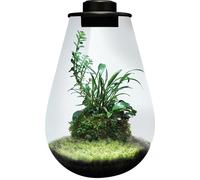 BioArt Drop 285, Garden LED Nano, High Quality Glass, 5.1L, with 5W Adjustable LED Lighting, Timer and Fan, 285 x 200 mm (Black)