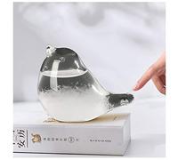 BIOBEY Storm Glass Weather Predictor,Weather Forecaster Barometer Bird Shape Crystal Desktop Decor Home Weather Stations for Home Office Birthday Valentines (Bird)